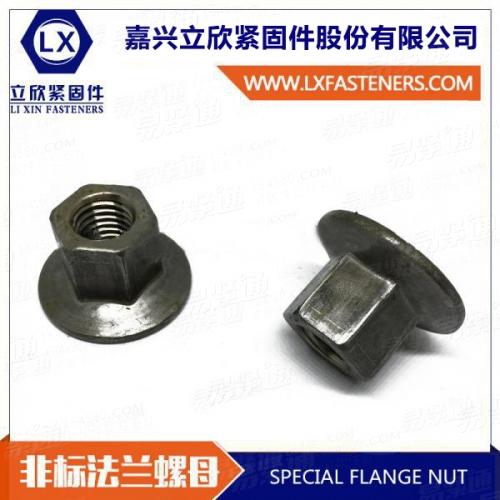 非标法兰螺母  六角大平板大法兰螺母 大大边法兰螺母