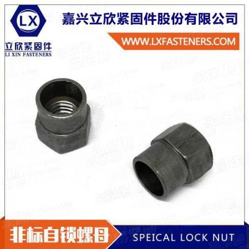 非标自鎖螺母  六角自鎖螺母