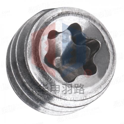 DIN34827不锈钢梅花槽紧定螺钉