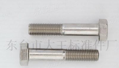 HG20634不銹鋼螺栓化工螺栓法蘭管用六角螺栓