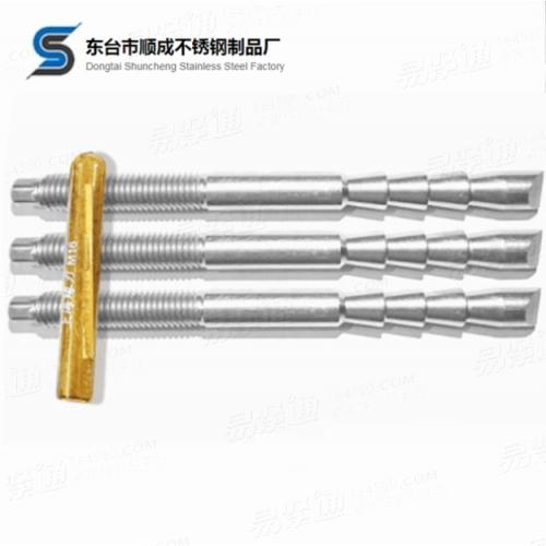 YJT1023 化学锚栓M6-M24多规格材质 不锈钢化学锚栓化学定型锚栓