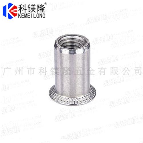 大沉頭拉鉚螺母