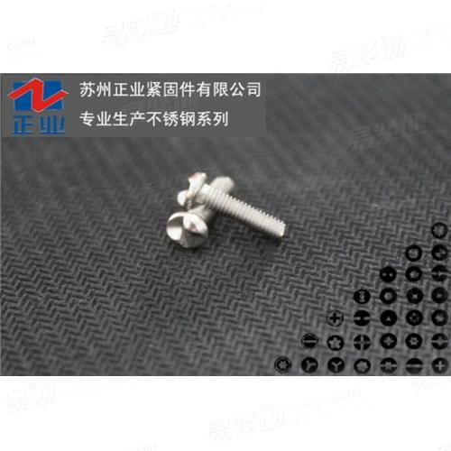 不鏽鋼S型防盜自攻釘