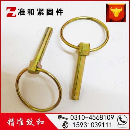 DIN德标 11023 - 1979 【安全锁止销】