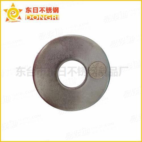 304 316不鏽鋼GB96 DIN9021墊圈