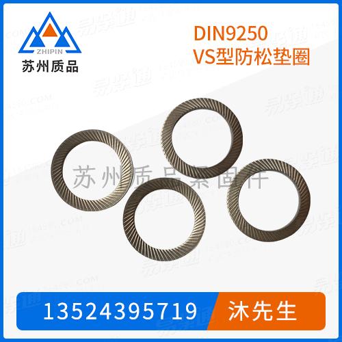 DIN9250 VS型防松墊圈DIN9025 (VS)