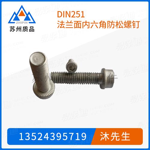 DIN251法蘭面內(nèi)六角防松螺釘