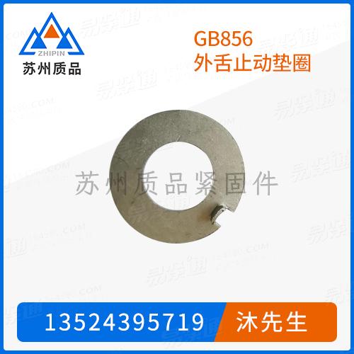 GB856外舌止動墊圈DIN432、CNS160