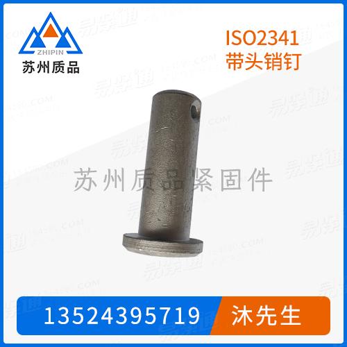 ISO2341帶頭銷釘GB882、DIN5526、DIN1434、DIN1435、DIN1444、JIS B 2801、Q510