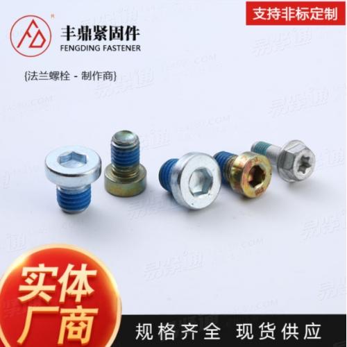 DIN德标 3852 【ED型内六角堵头】