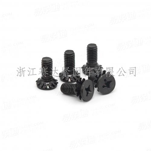 沉头十字与锁紧垫圈组合件