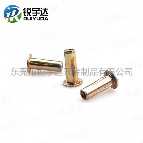 YJT8005 平頭開槽拉鉚螺母 平頭燈籠拉帽