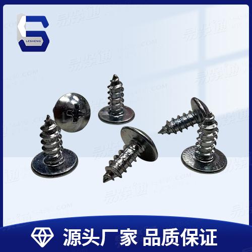 SJ2824十字槽大扁頭自攻釘