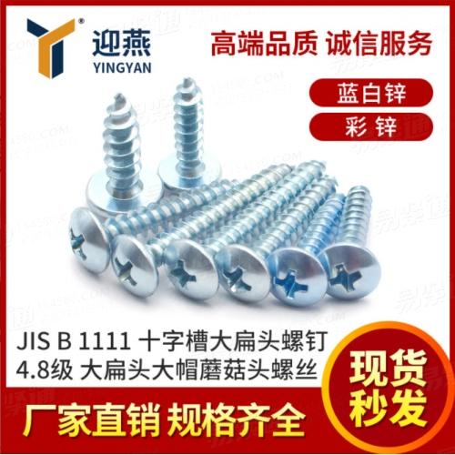 十字槽大扁頭螺釘 4.8級藍白鋅彩鋅大扁頭螺絲大頭大帽蘑菇頭螺絲
