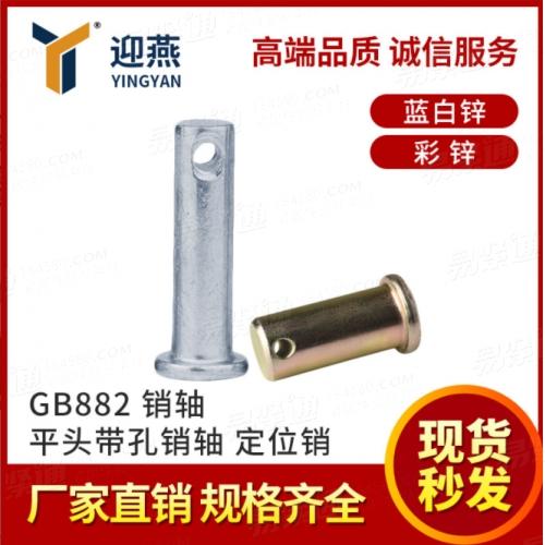 A3材质 销轴 镀锌GB882 定位销 平头带孔销轴T型圆柱销钉φ10
