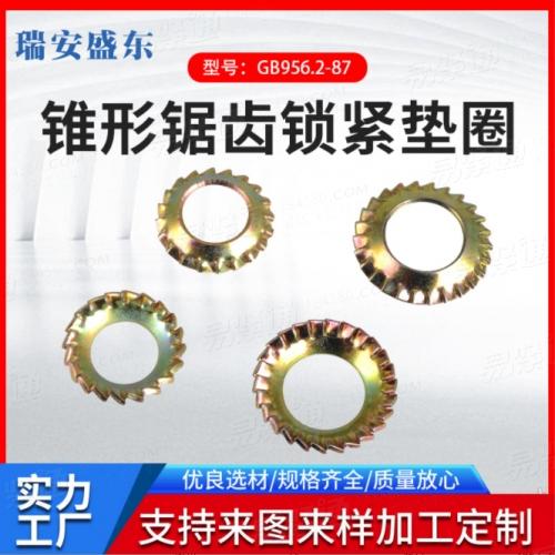 齿形垫圈 Q414锥形锯齿锁紧垫圈 GB956.2镀锌碗型垫圈厂家供应