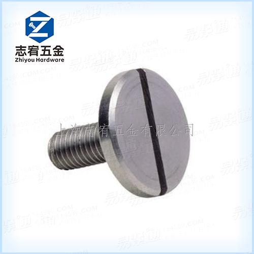 開槽大盤頭螺釘DIN921