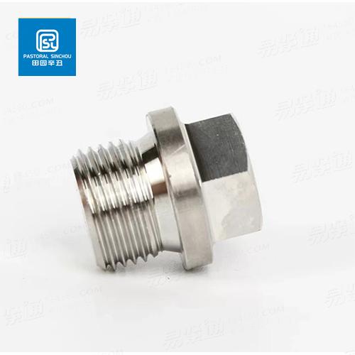 DIN910不锈钢法兰面堵头