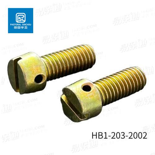 HB 1- 203 - 2002 頭部帶保險孔的圓柱頭螺釘