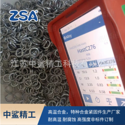 Hastelloy C276 弹簧垫圈