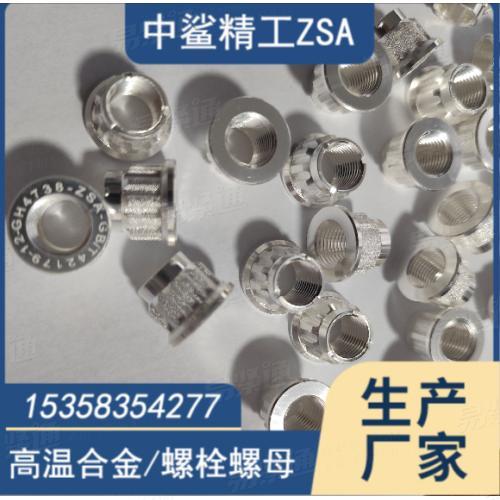 A286/GH4738 鍍銀螺母