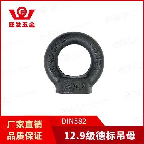 专业吊环厂家12.9级德标吊环螺母DIN582