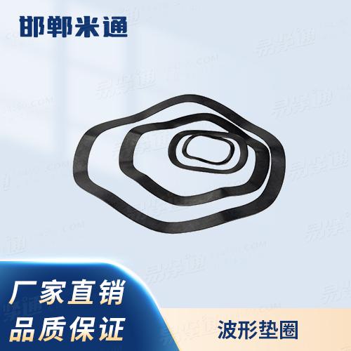 廠家直銷規(guī)格齊全JB7590電機(jī)用鋼質(zhì)波形彈簧墊圈