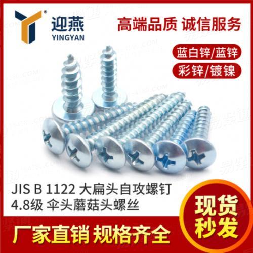 JIS B 1122十字槽大扁头自攻螺丝钉4.8级伞头蘑菇头螺丝M3-M5