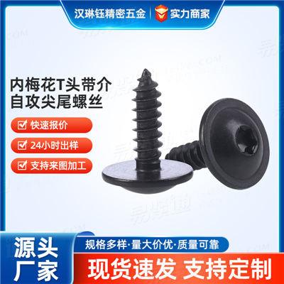 精密仪器电子电器专用不锈钢内梅花T头带介自攻尖尾螺丝 新能源
