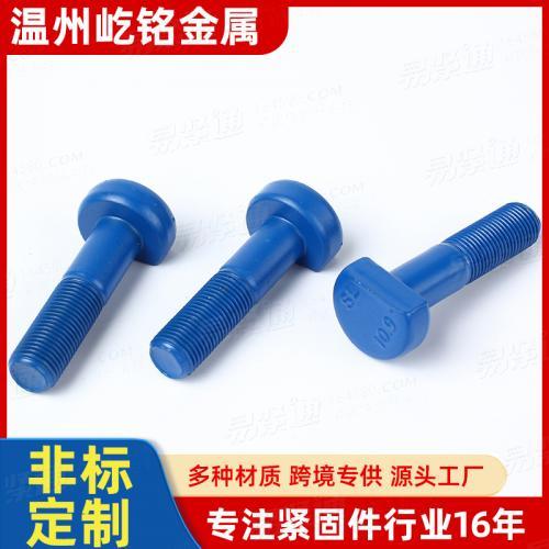 10.9级T型头高强度螺栓 PTFE涂层光伏设备防腐蚀螺栓 非标定制