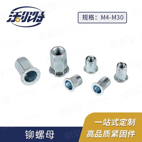 廠家直銷GB17880.5平頭六角鉚螺母