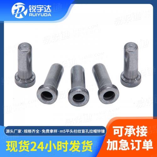 定制拉鉚螺母六角鉚螺母新能源鋁鐵抽芯拉鉚釘平頭柱紋盲孔拉帽