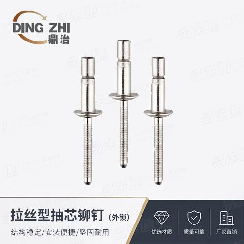 廠家直銷拉絲型圓頭抽芯鉚釘 - 外鎖非标定制