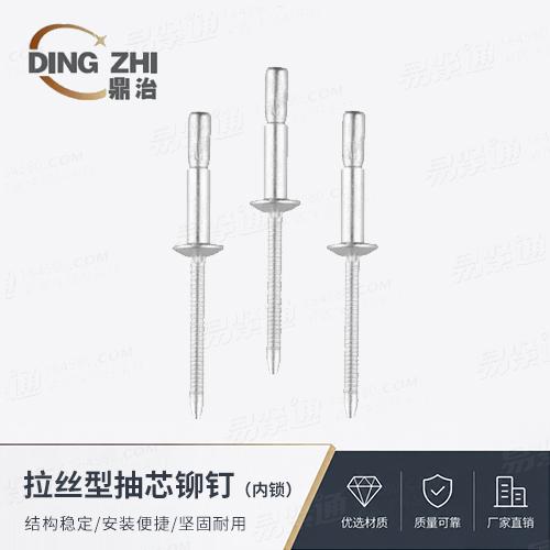 廠家直銷拉絲型沉頭抽芯鉚釘 - 内鎖