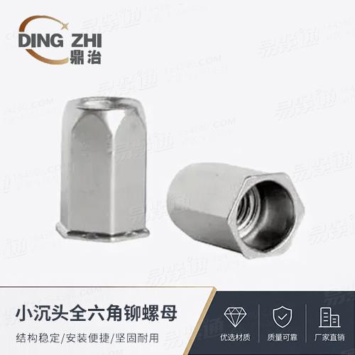 專業(yè)鉚螺母廠家小沉頭全六角鉚螺母