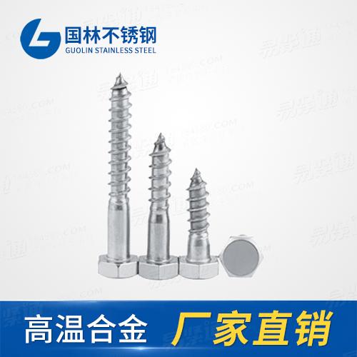 廠家直銷不鏽鋼DIN571六角頭木螺釘非标定制
