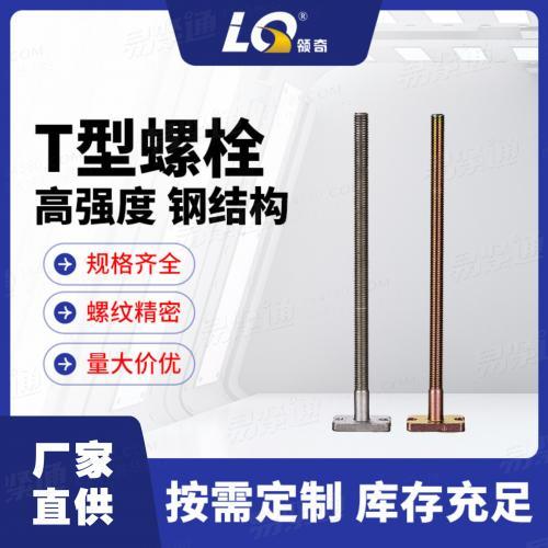 宁波领奇8.8级T型螺栓高强度螺栓非标定制厂家直供