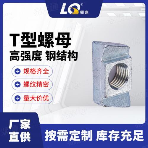 宁波厂家直供40/22哈芬槽道压板高强度T型螺母量大从优