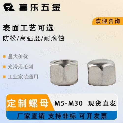 M10 M12 M14 M16 M18 M20 M22 M24六角低型盖形螺母 DIN917 平头