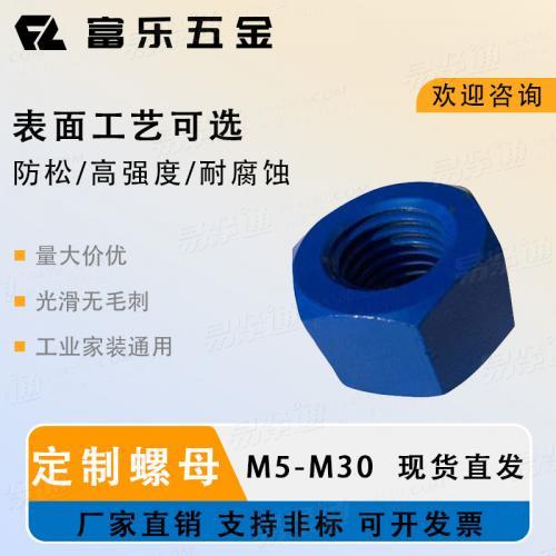 Xylon Blue 涂层 ASTM A193 B7 A194 2H 级重型六角螺母