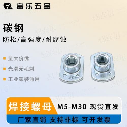 T型焊接螺母YJT3025