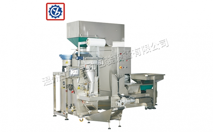 GY-C01 单称式称重包装机