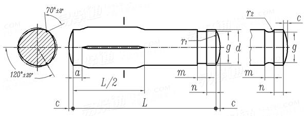 DIN  1469 - 1978 帶頸配合槽銷