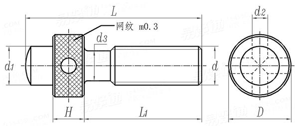 JB /T 8026.3 - 1999 圆柱头调节支承